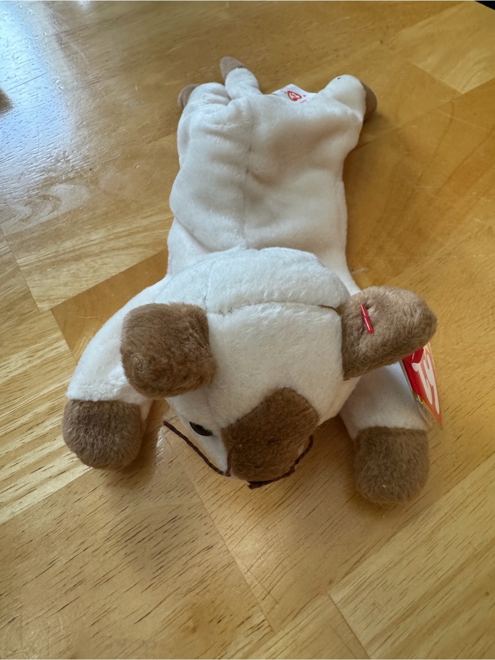 Ty Beanie Babies “Snip”